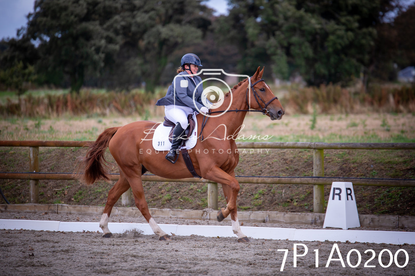 JHOYS 2025 - Dressage - 13th September