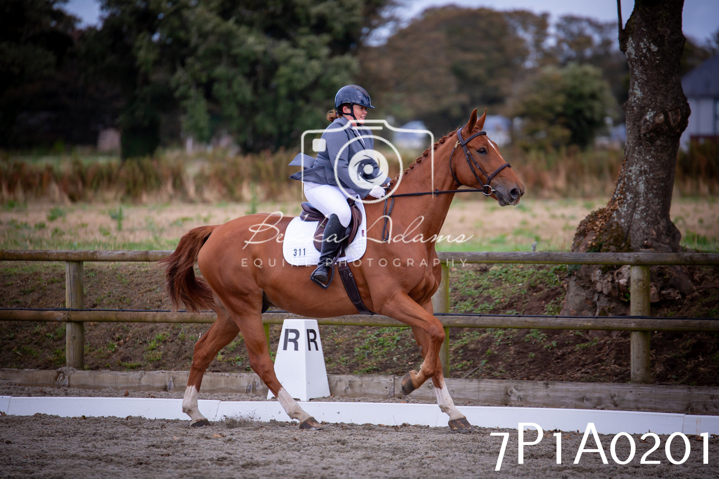 JHOYS 2025 - Dressage - 13th September
