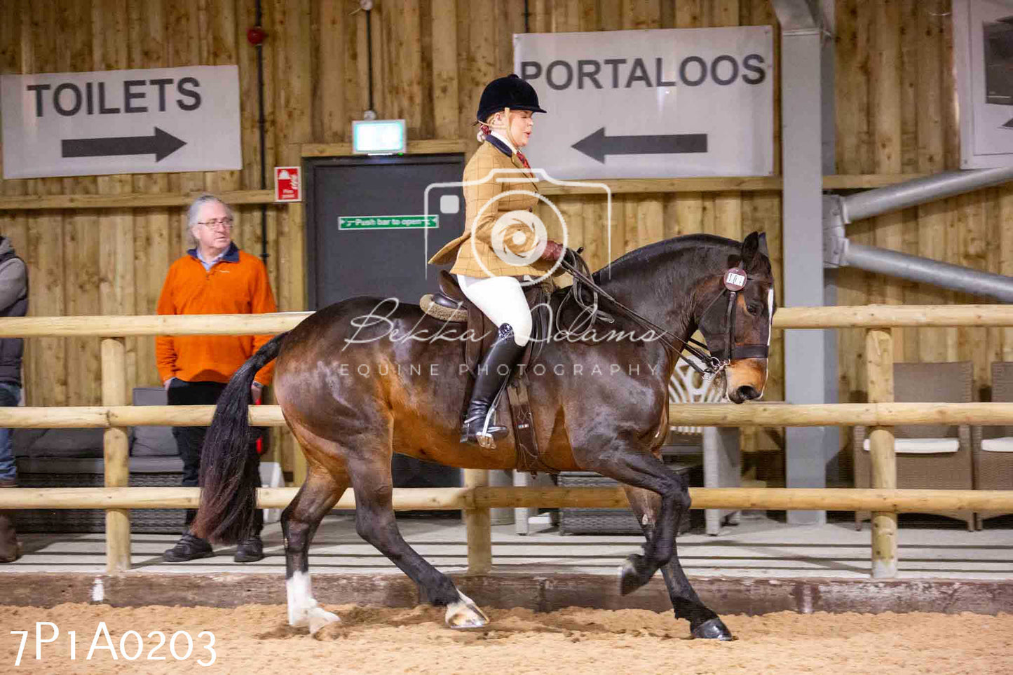 Home Farm Spring Show - Ridden Showing 24th March 2024 - Part 1