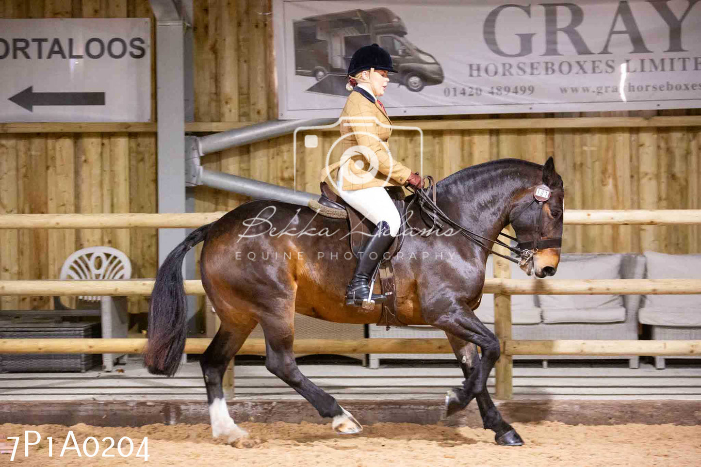 Home Farm Spring Show - Ridden Showing 24th March 2024 - Part 1