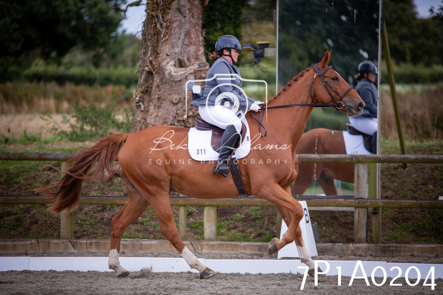 JHOYS 2025 - Dressage - 13th September