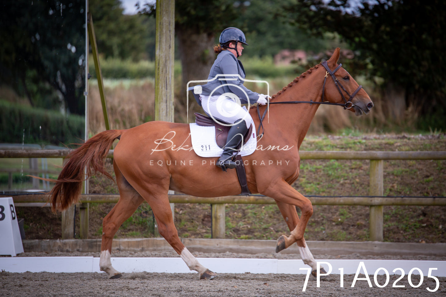JHOYS 2025 - Dressage - 13th September