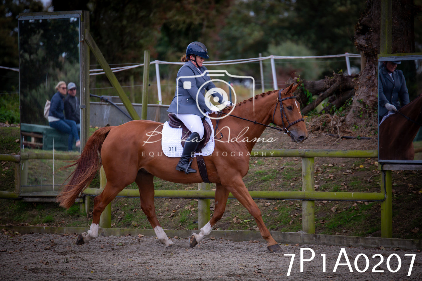 JHOYS 2025 - Dressage - 13th September