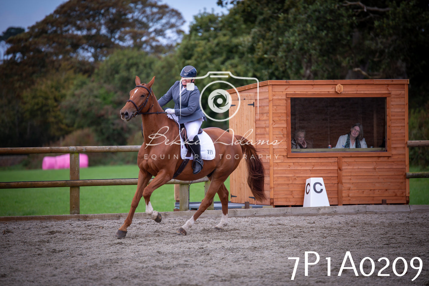 JHOYS 2025 - Dressage - 13th September