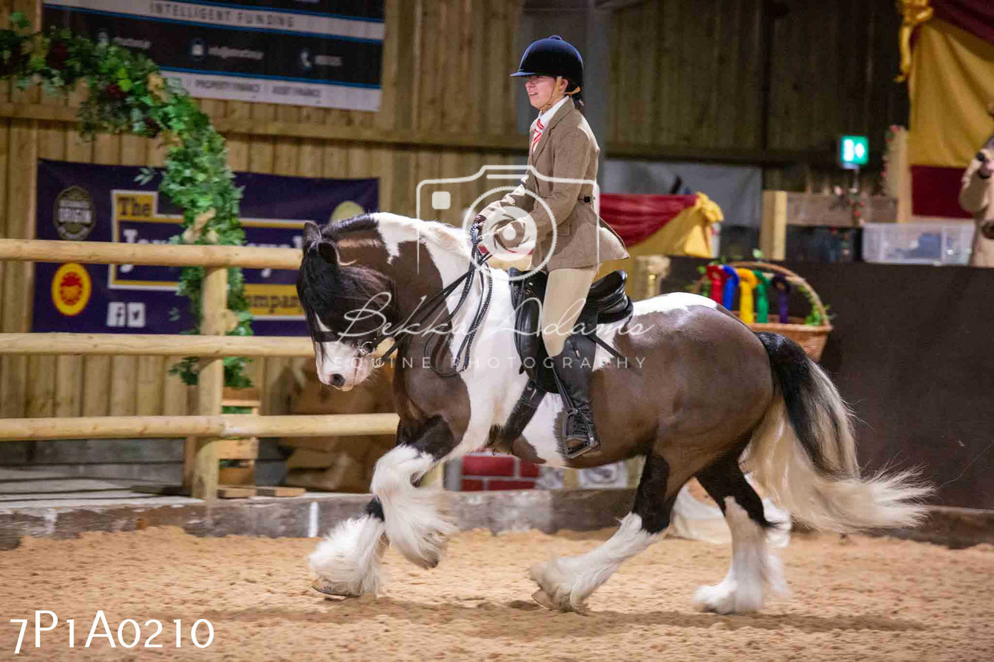 Home Farm Spring Show - Ridden Showing 24th March 2024 - Part 1