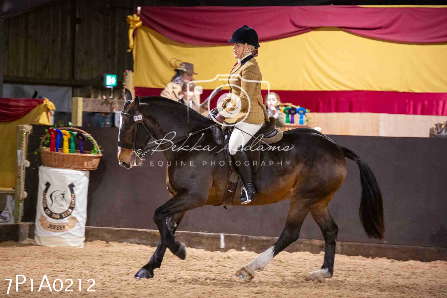 Home Farm Spring Show - Ridden Showing 24th March 2024 - Part 1