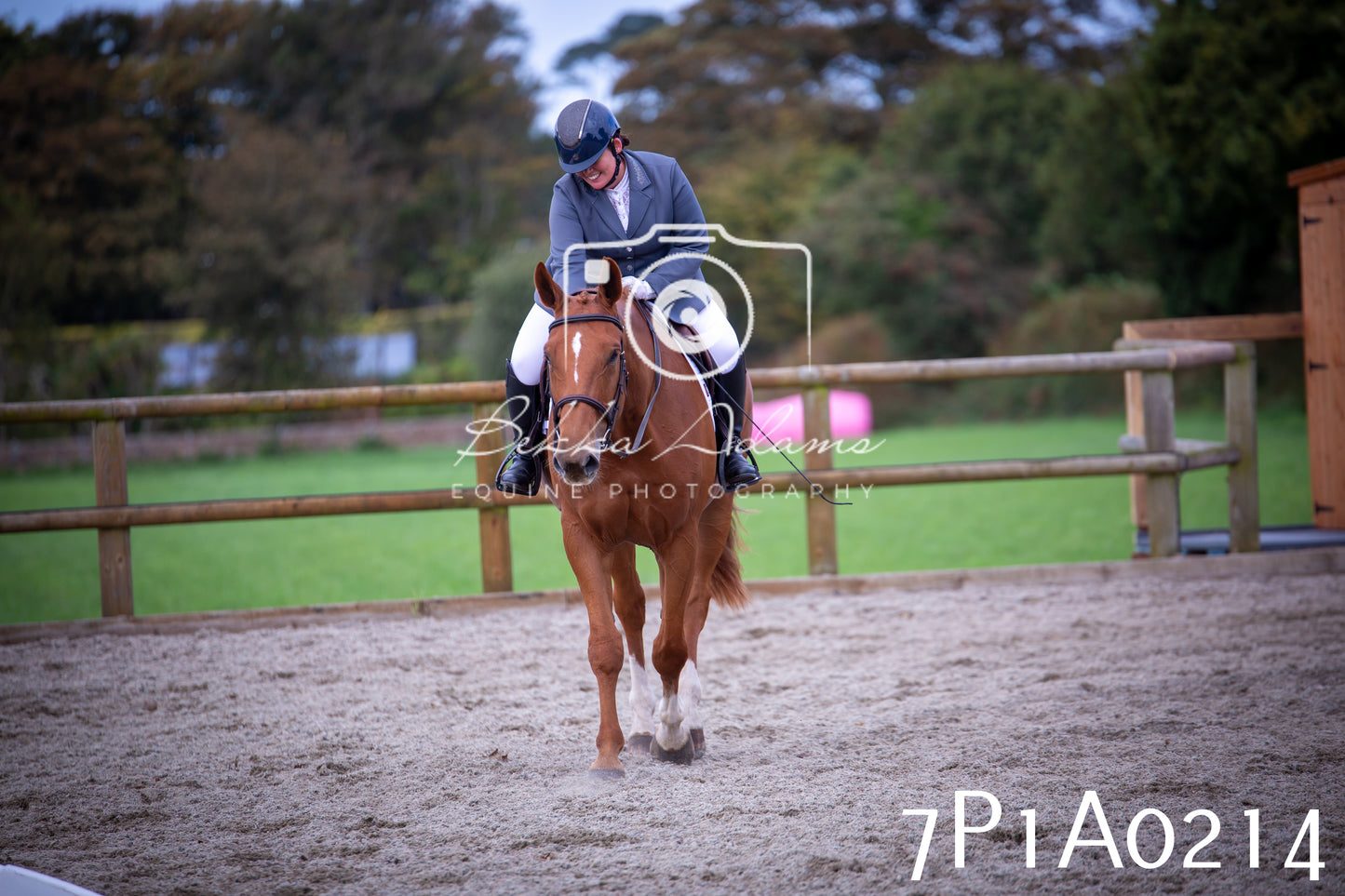 JHOYS 2025 - Dressage - 13th September