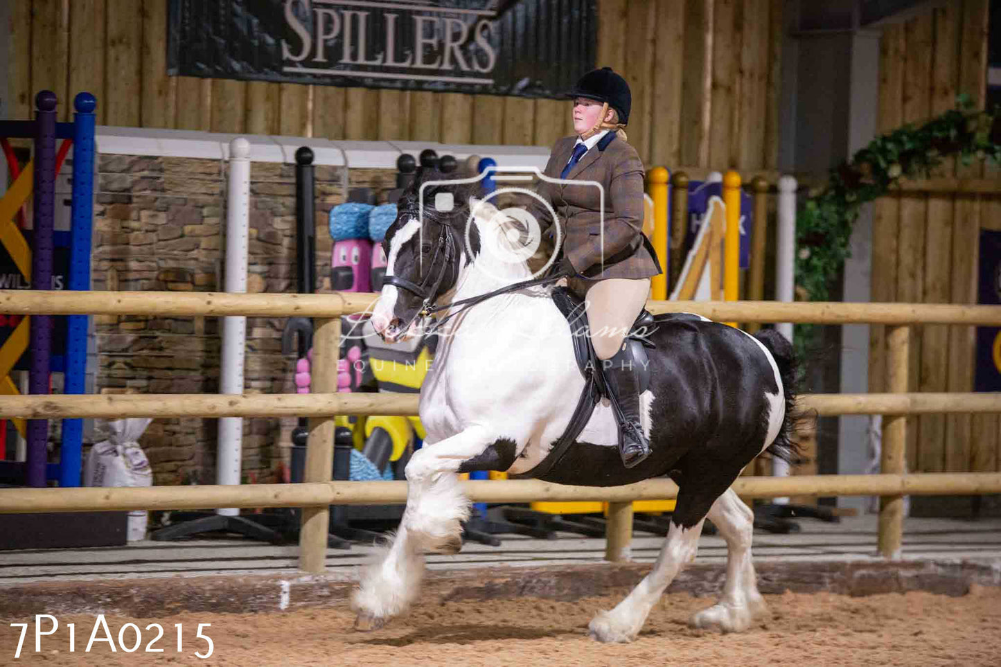 Home Farm Spring Show - Ridden Showing 24th March 2024 - Part 1