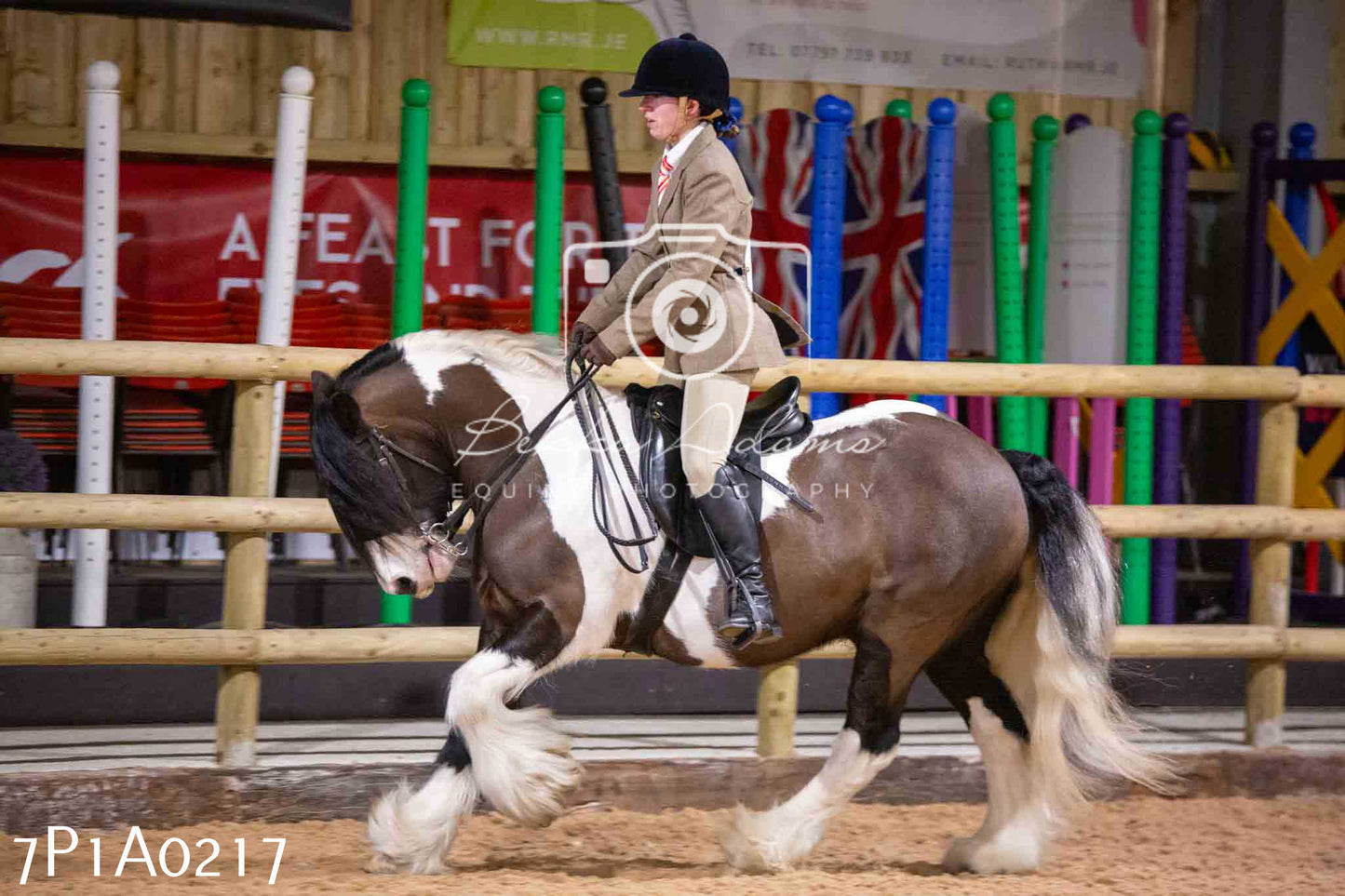 Home Farm Spring Show - Ridden Showing 24th March 2024 - Part 1