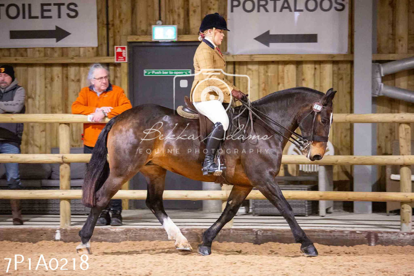 Home Farm Spring Show - Ridden Showing 24th March 2024 - Part 1