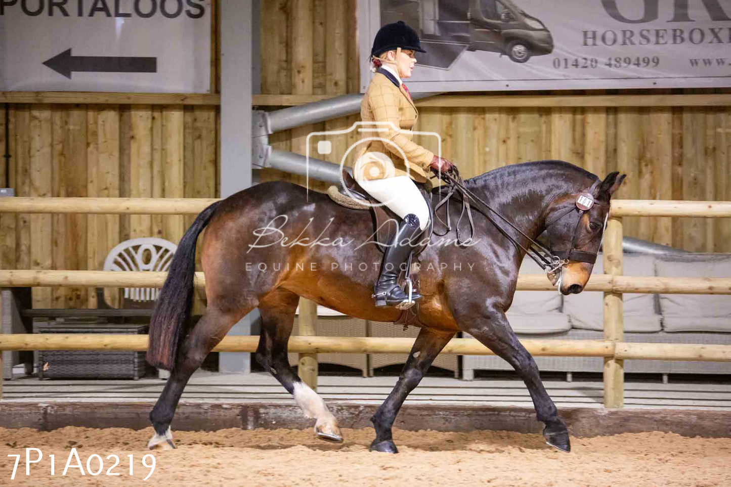 Home Farm Spring Show - Ridden Showing 24th March 2024 - Part 1