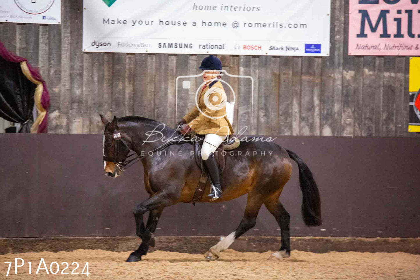 Home Farm Spring Show - Ridden Showing 24th March 2024 - Part 1