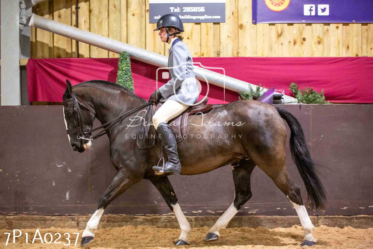 Home Farm Spring Show - Ridden Showing 24th March 2024 - Part 1