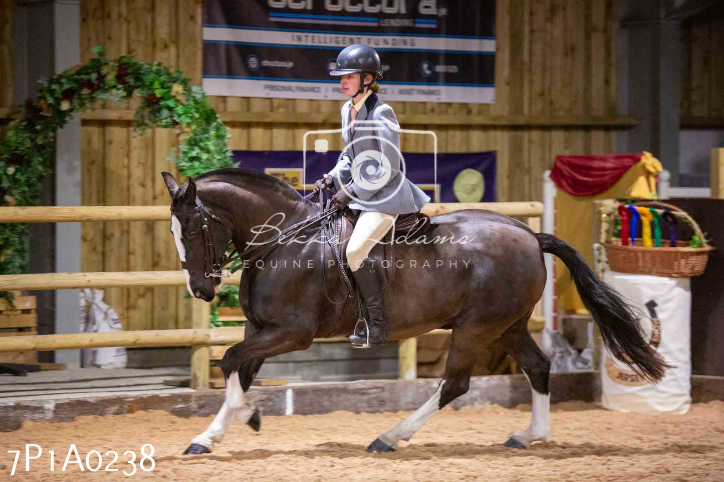 Home Farm Spring Show - Ridden Showing 24th March 2024 - Part 1