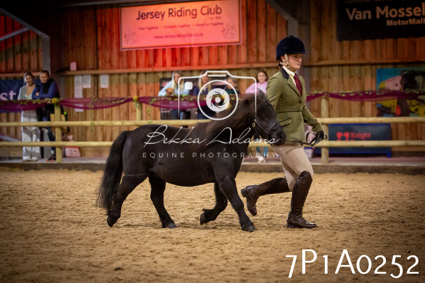 JHOYS 2025 - In hand Showing - 27th September pt1
