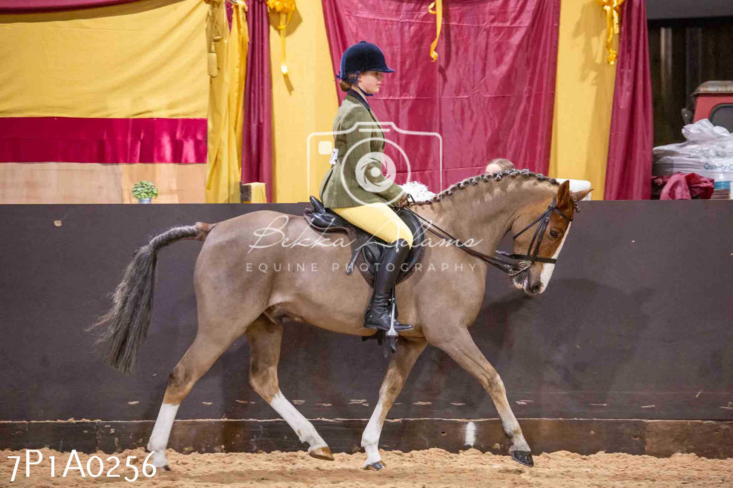 Home Farm Spring Show - Ridden Showing 24th March 2024 - Part 1