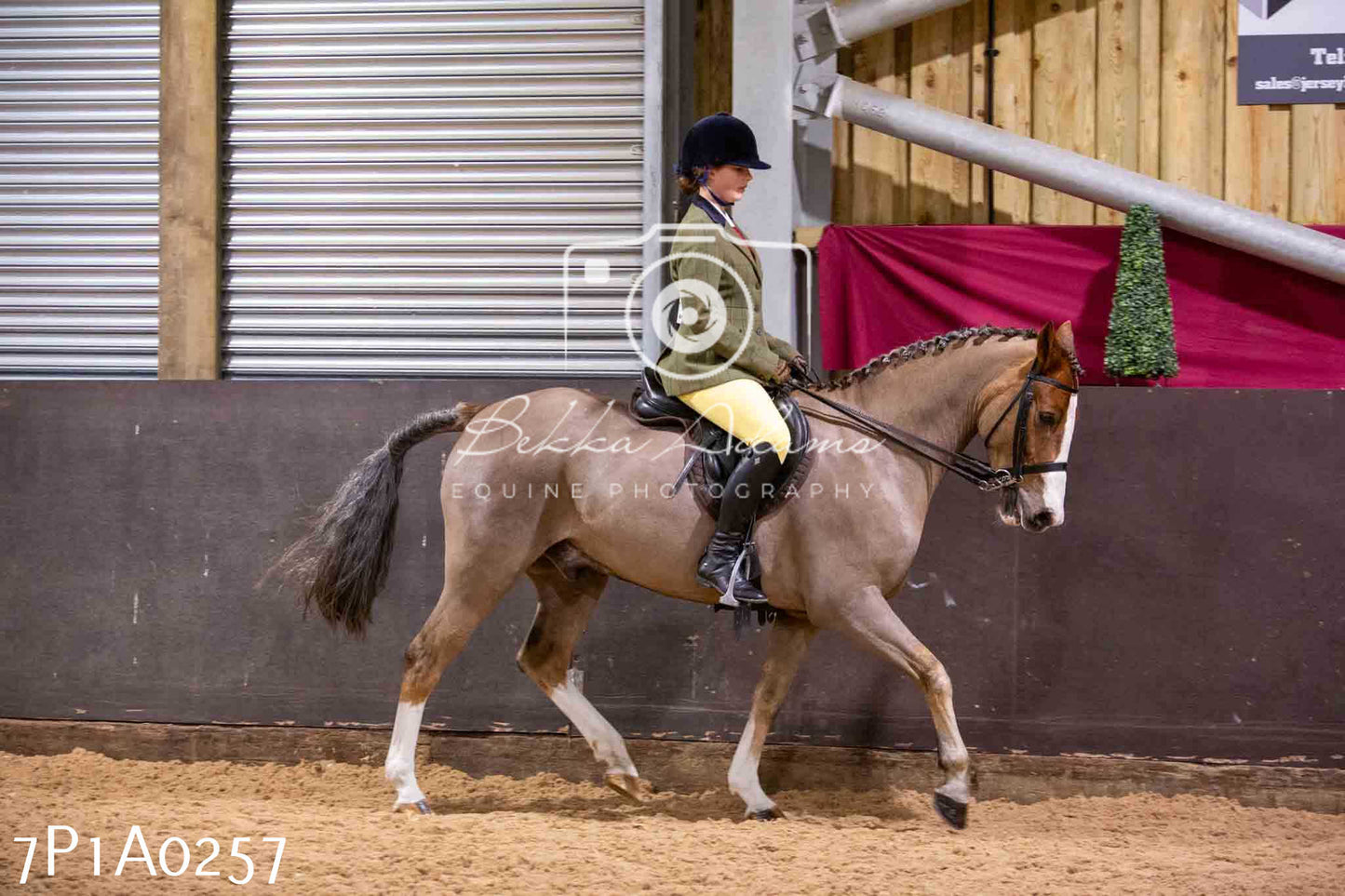 Home Farm Spring Show - Ridden Showing 24th March 2024 - Part 1