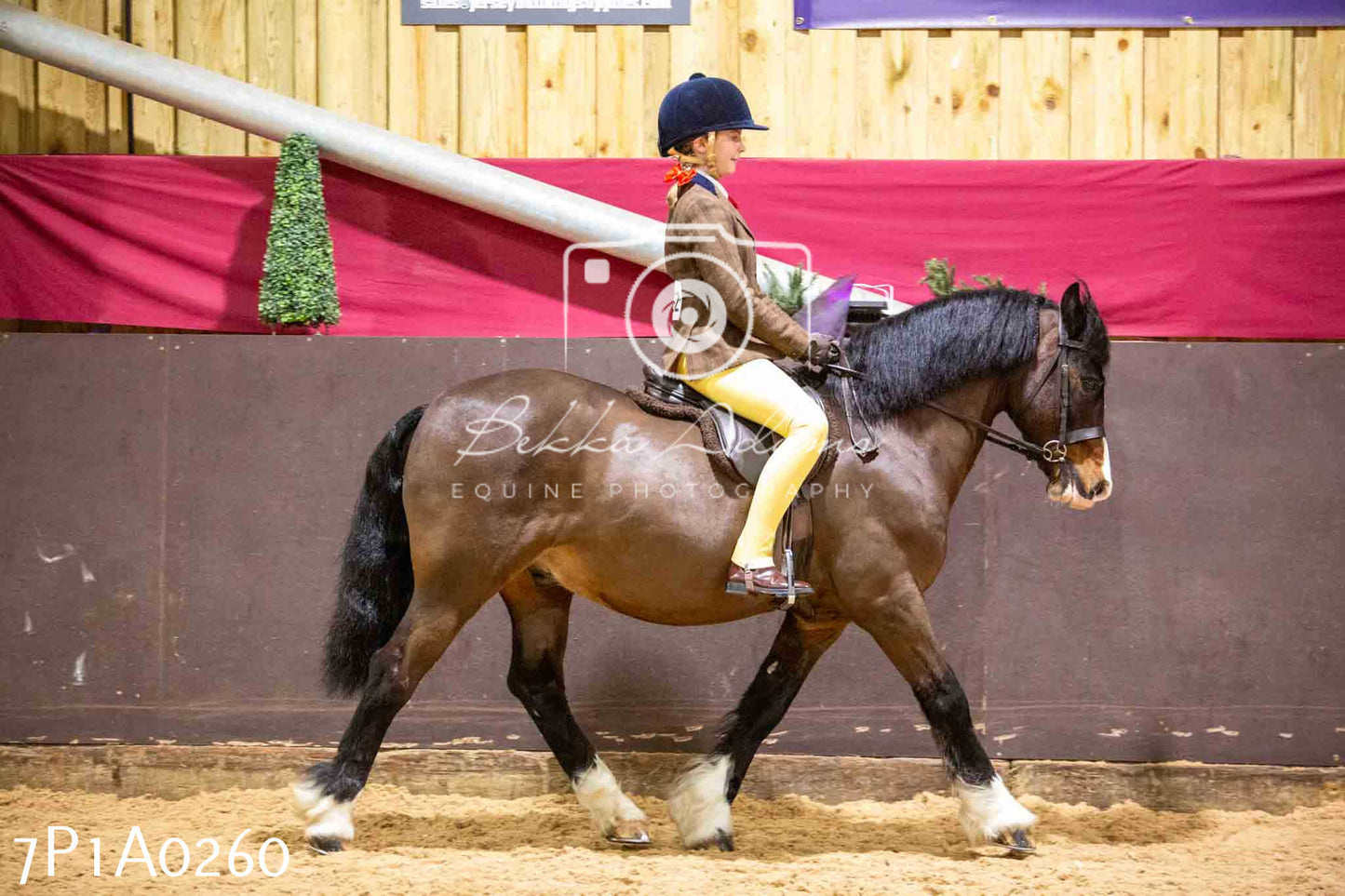 Home Farm Spring Show - Ridden Showing 24th March 2024 - Part 1