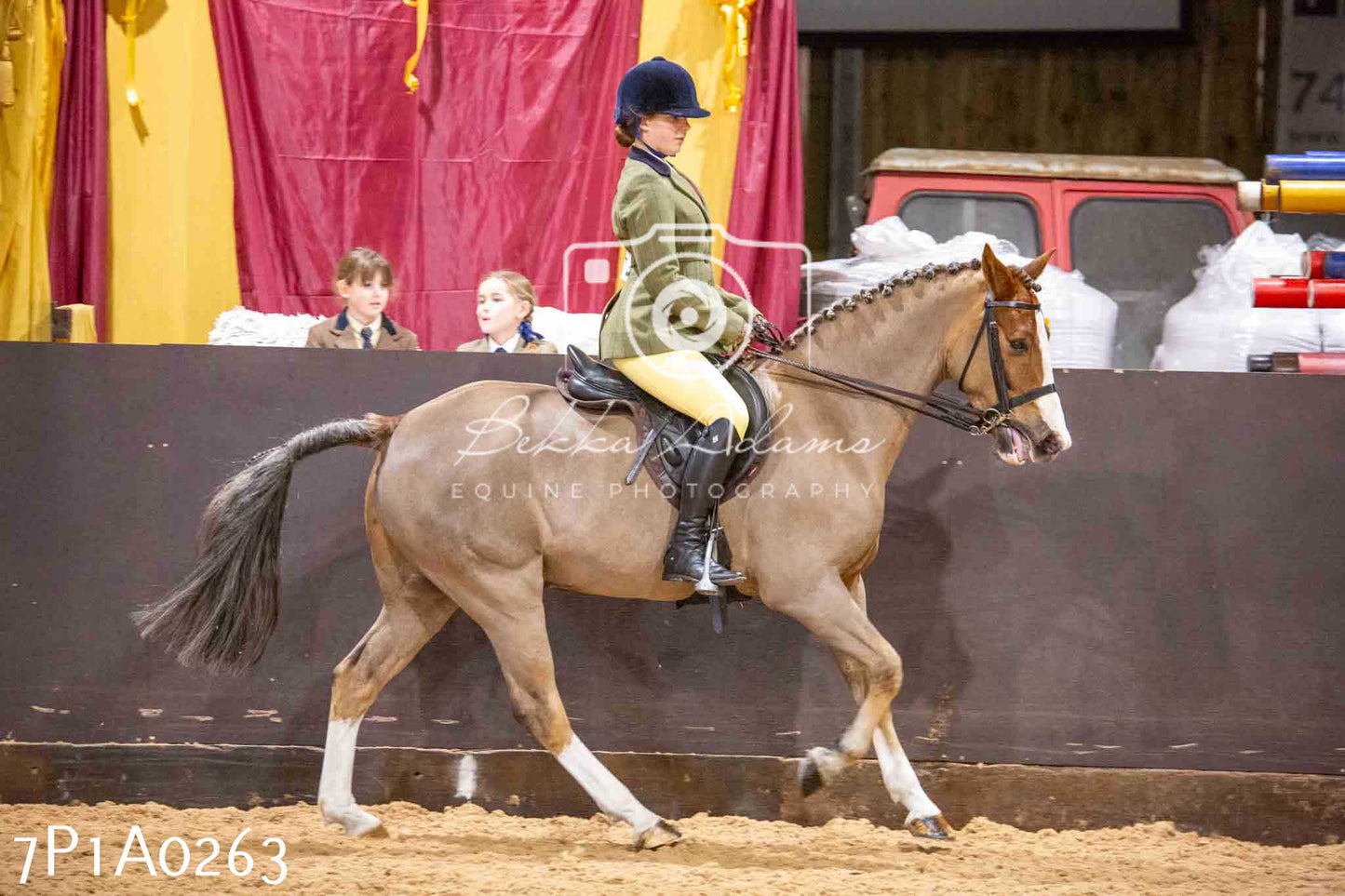 Home Farm Spring Show - Ridden Showing 24th March 2024 - Part 1