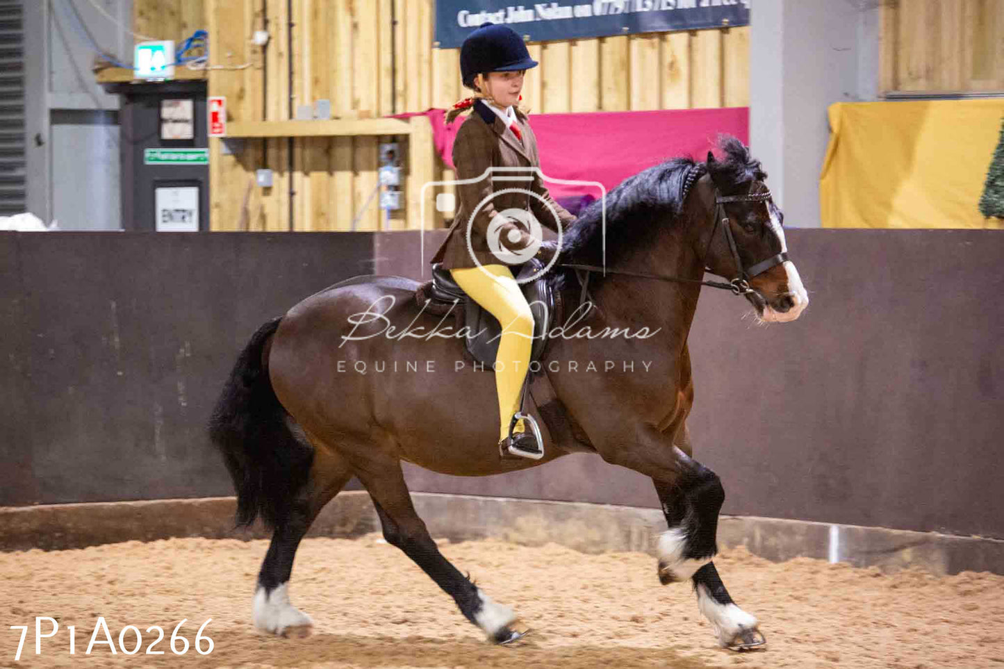 Home Farm Spring Show - Ridden Showing 24th March 2024 - Part 1