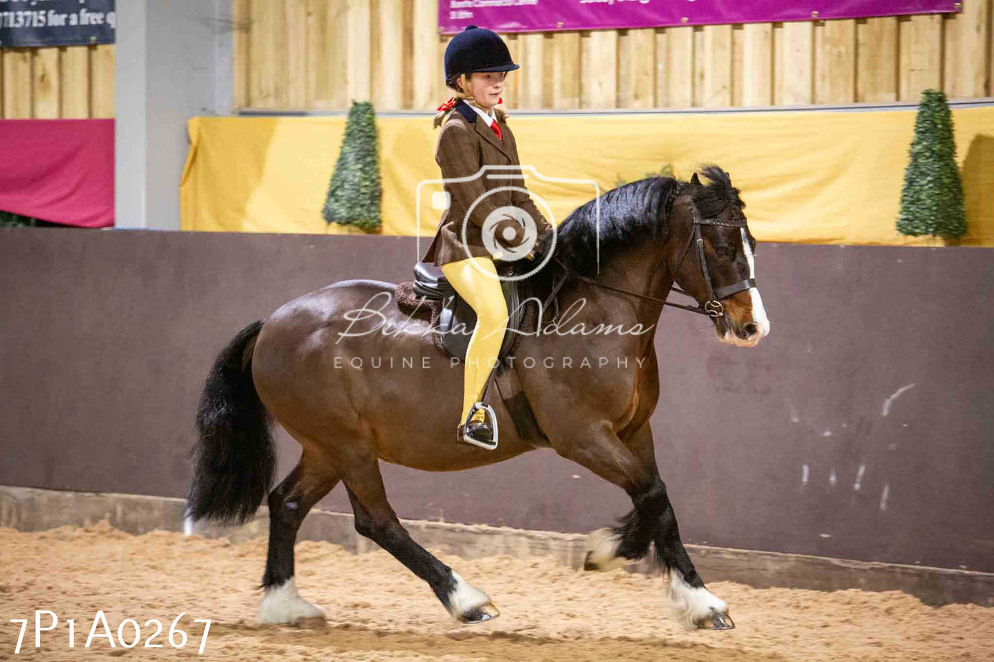 Home Farm Spring Show - Ridden Showing 24th March 2024 - Part 1
