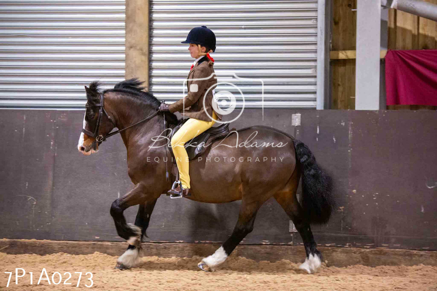 Home Farm Spring Show - Ridden Showing 24th March 2024 - Part 1
