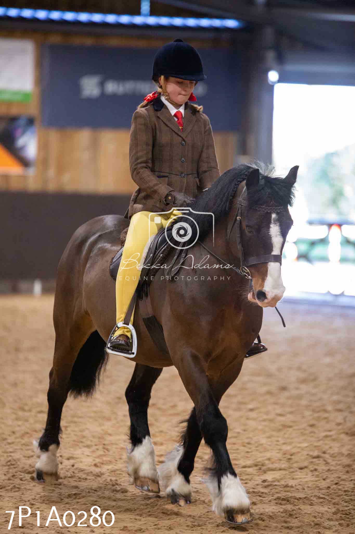 Home Farm Spring Show - Ridden Showing 24th March 2024 - Part 1