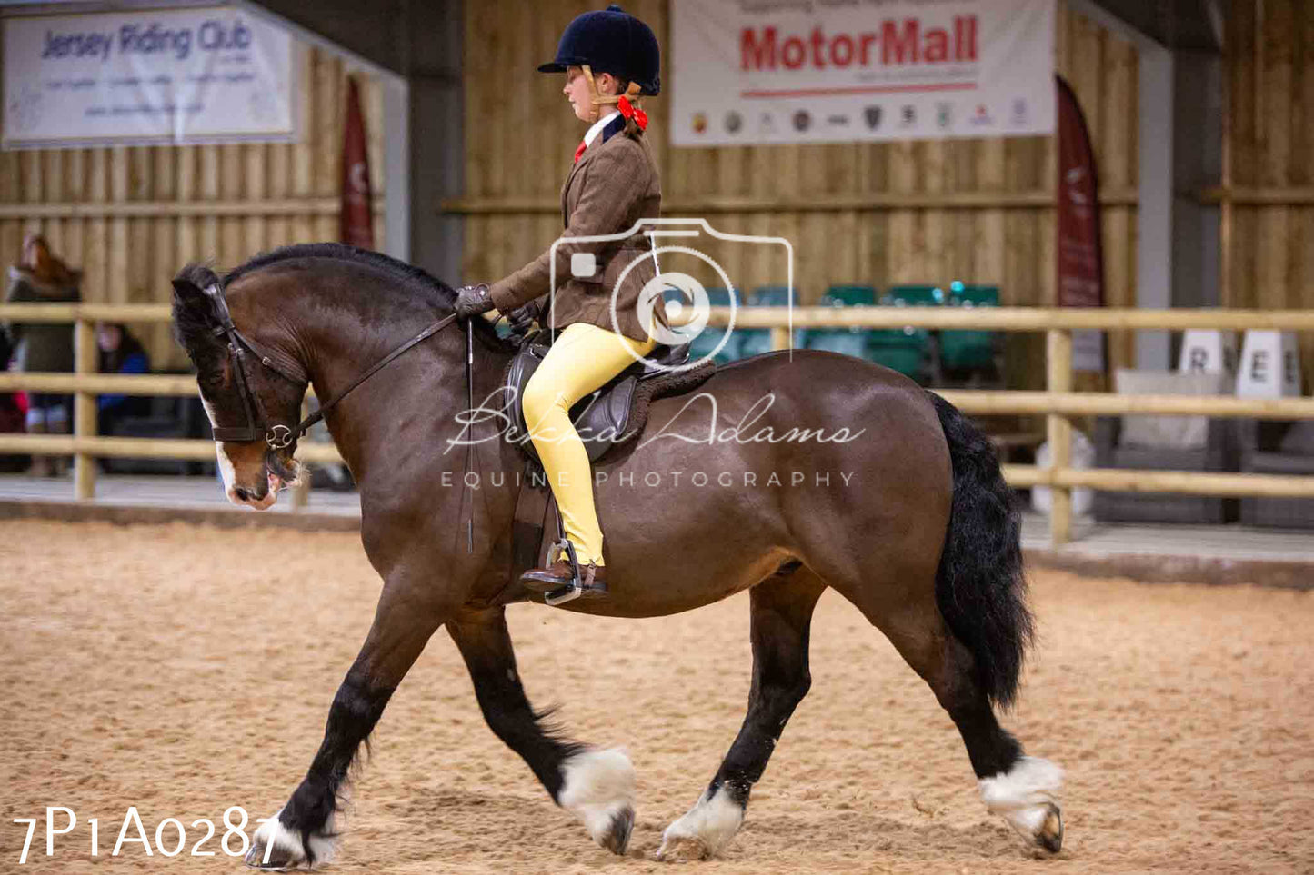 Home Farm Spring Show - Ridden Showing 24th March 2024 - Part 1