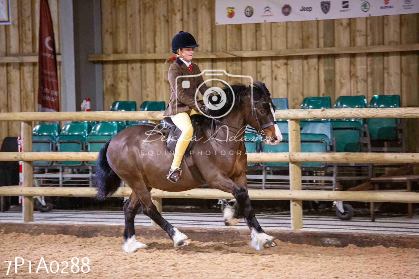 Home Farm Spring Show - Ridden Showing 24th March 2024 - Part 1