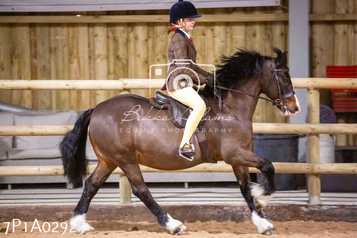 Home Farm Spring Show - Ridden Showing 24th March 2024 - Part 1