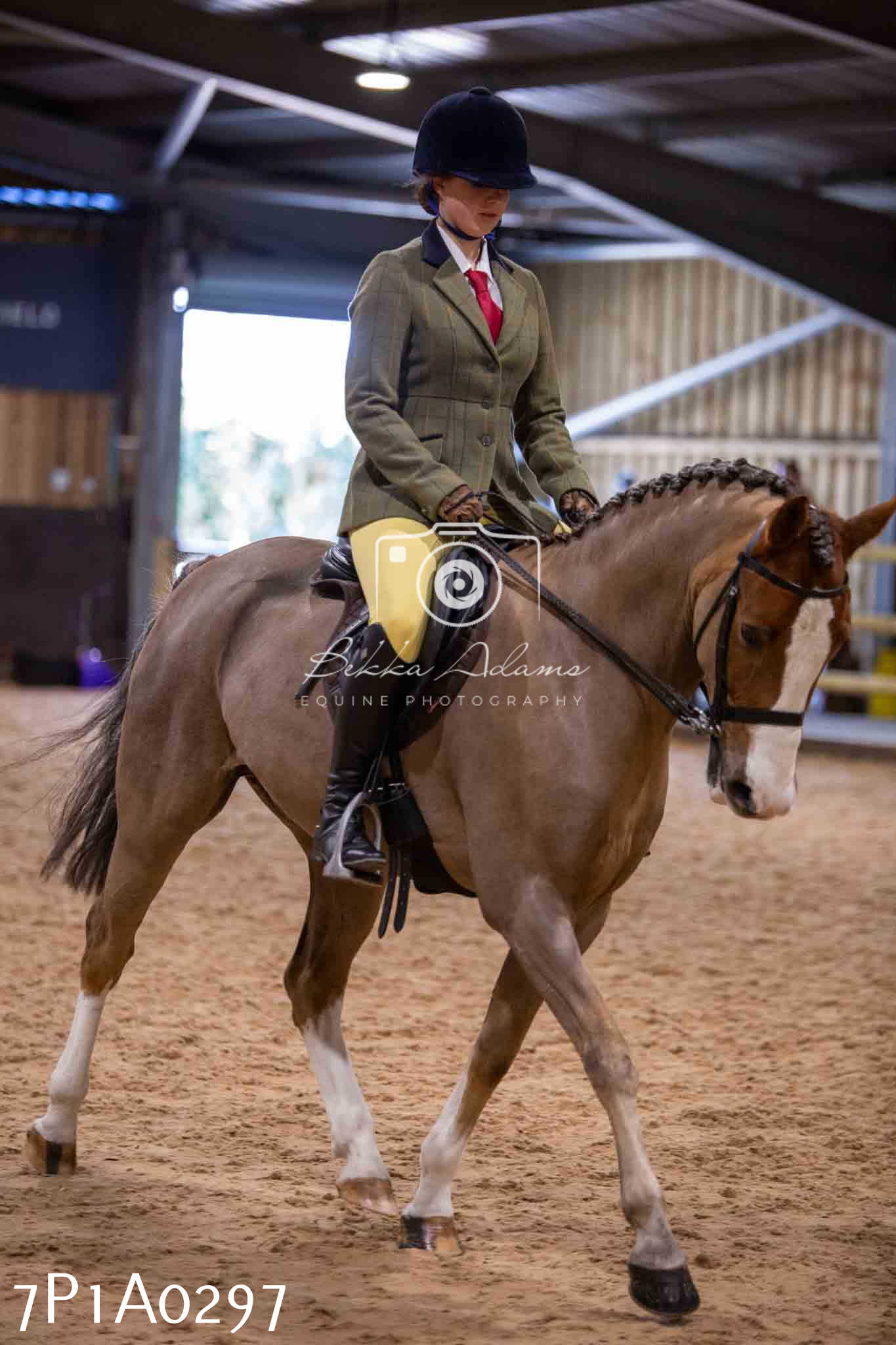 Home Farm Spring Show - Ridden Showing 24th March 2024 - Part 1