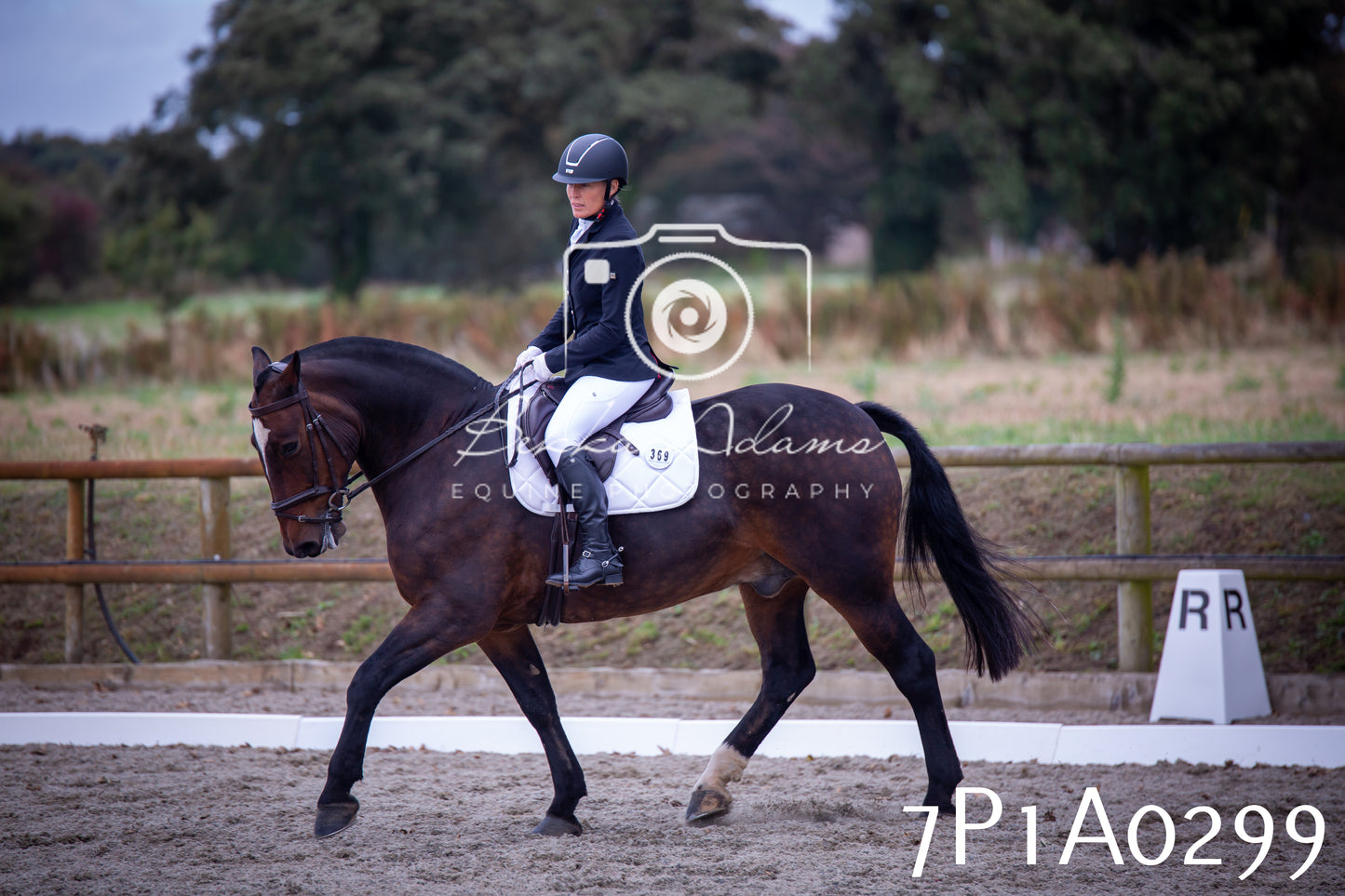 JHOYS 2025 - Dressage - 13th September