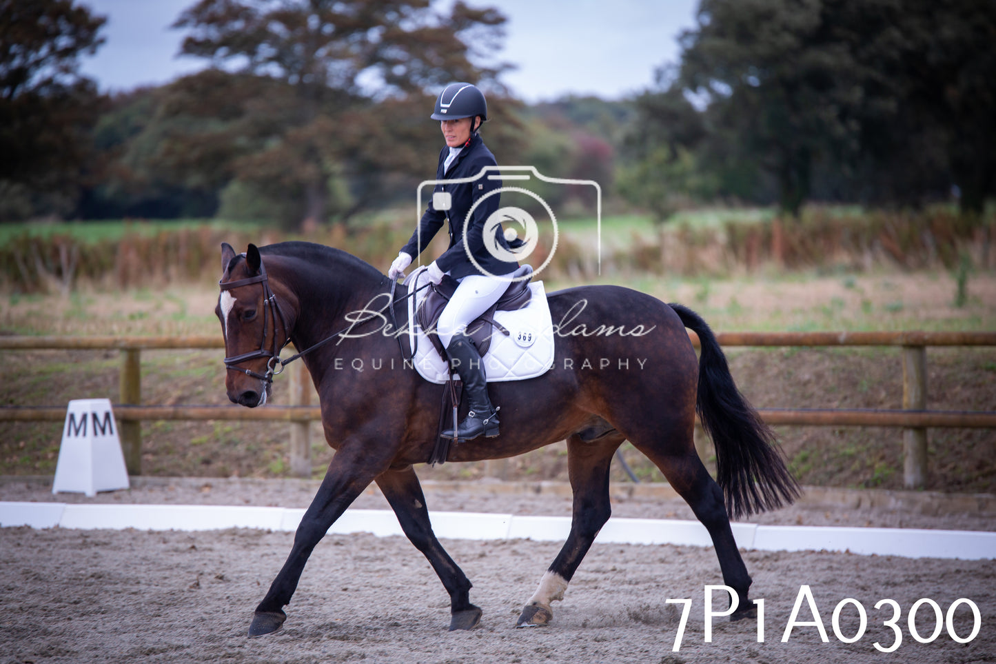 JHOYS 2025 - Dressage - 13th September