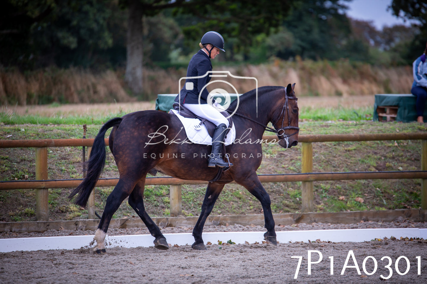 JHOYS 2025 - Dressage - 13th September