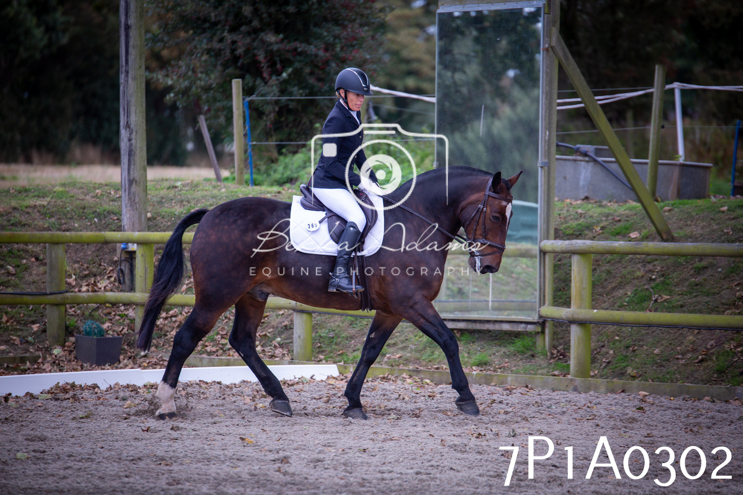 JHOYS 2025 - Dressage - 13th September