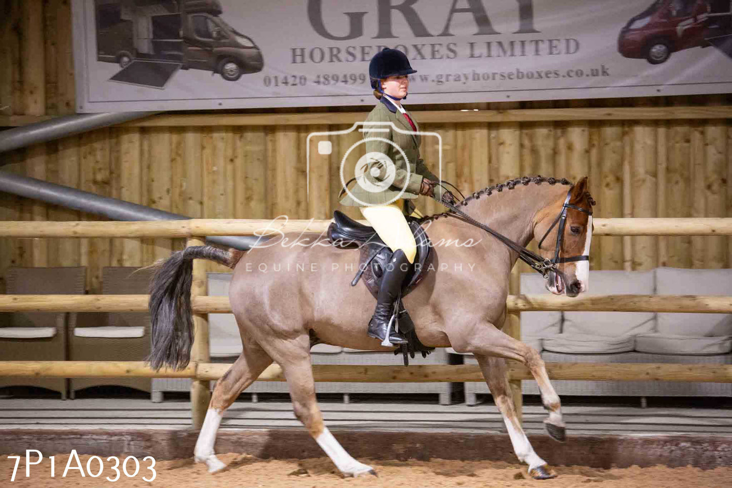 Home Farm Spring Show - Ridden Showing 24th March 2024 - Part 1