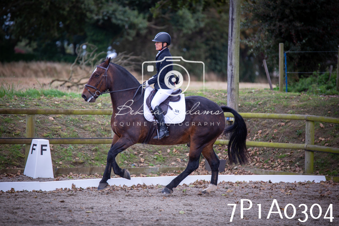 JHOYS 2025 - Dressage - 13th September