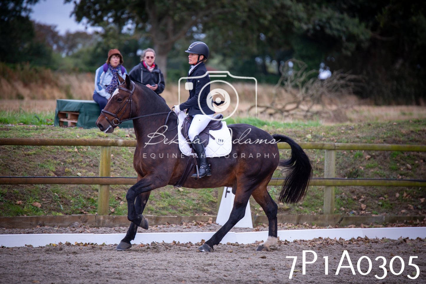 JHOYS 2025 - Dressage - 13th September