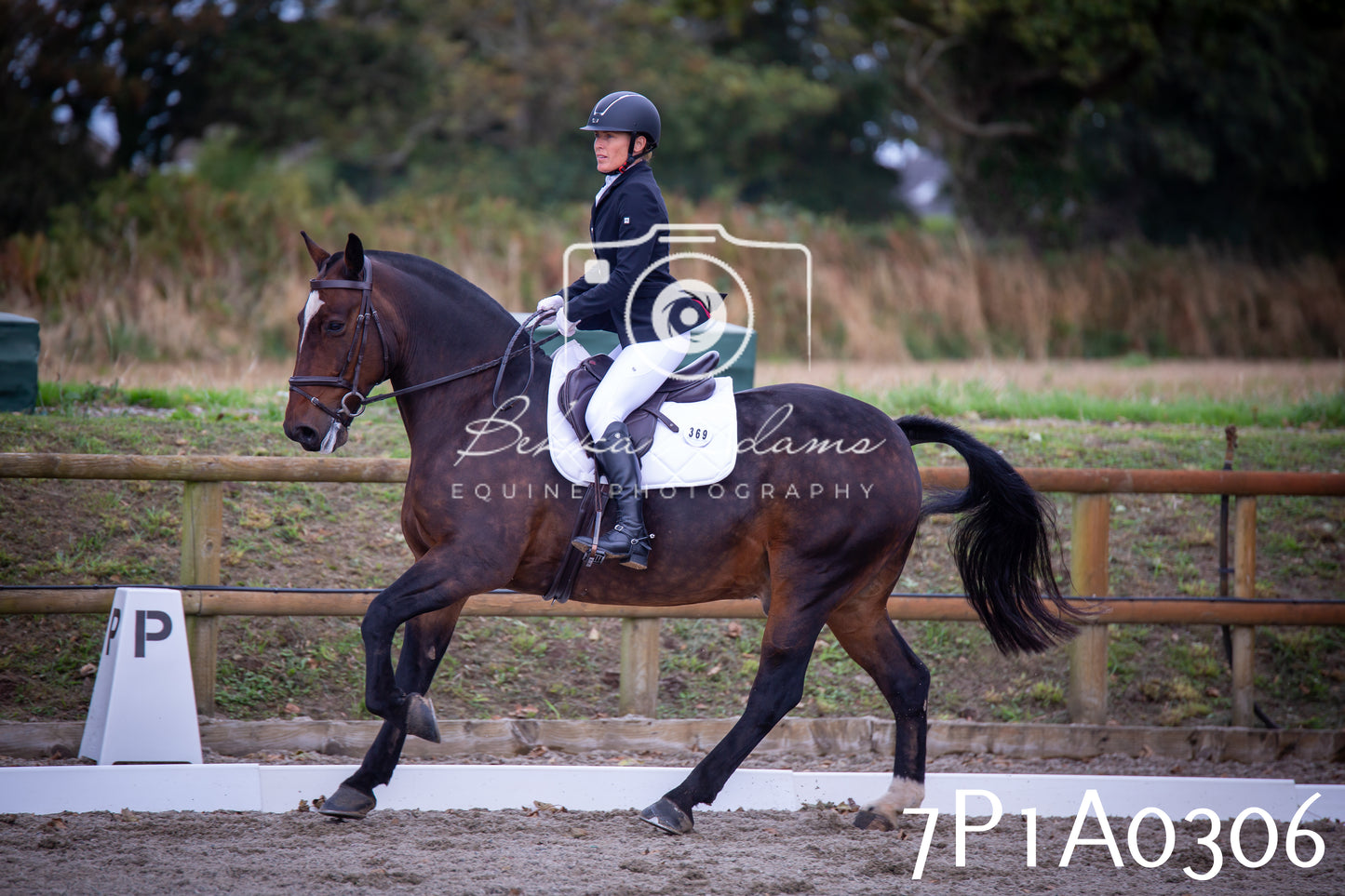 JHOYS 2025 - Dressage - 13th September