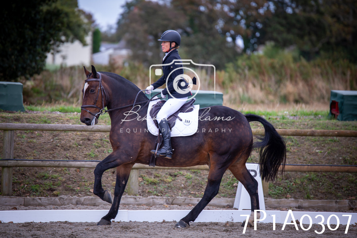 JHOYS 2025 - Dressage - 13th September