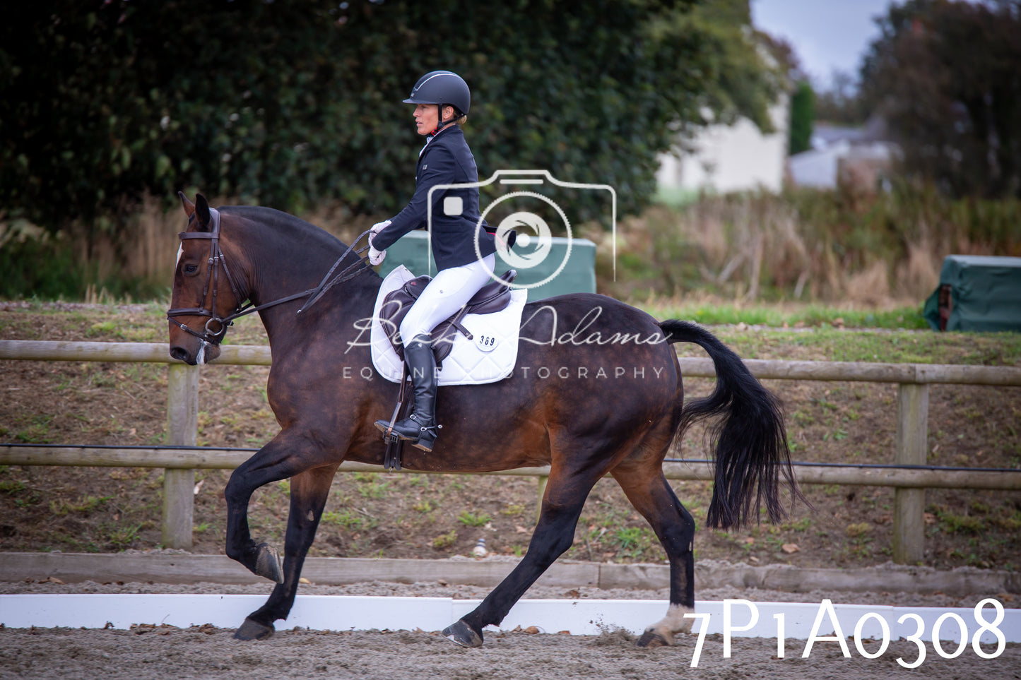 JHOYS 2025 - Dressage - 13th September