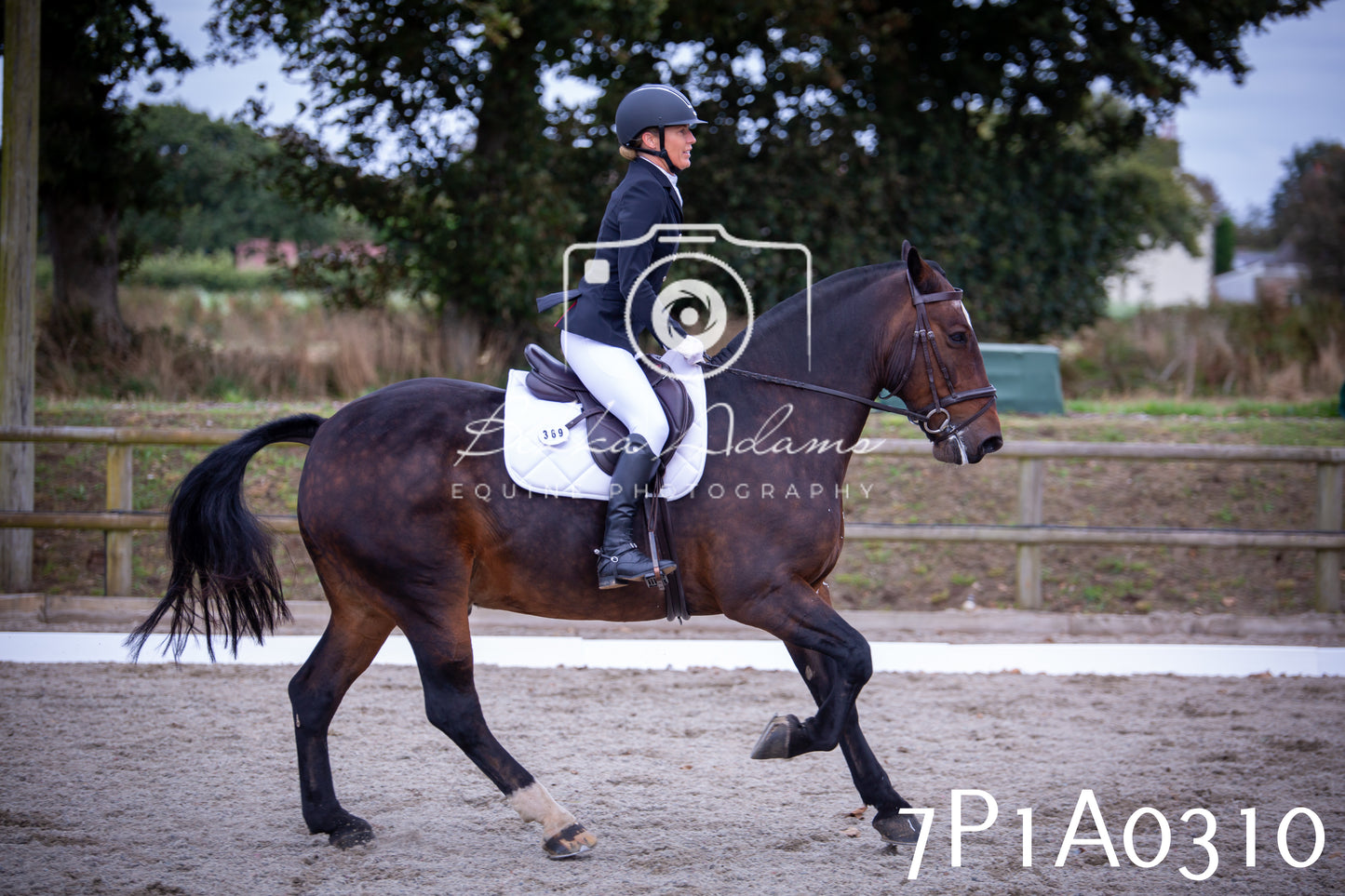 JHOYS 2025 - Dressage - 13th September