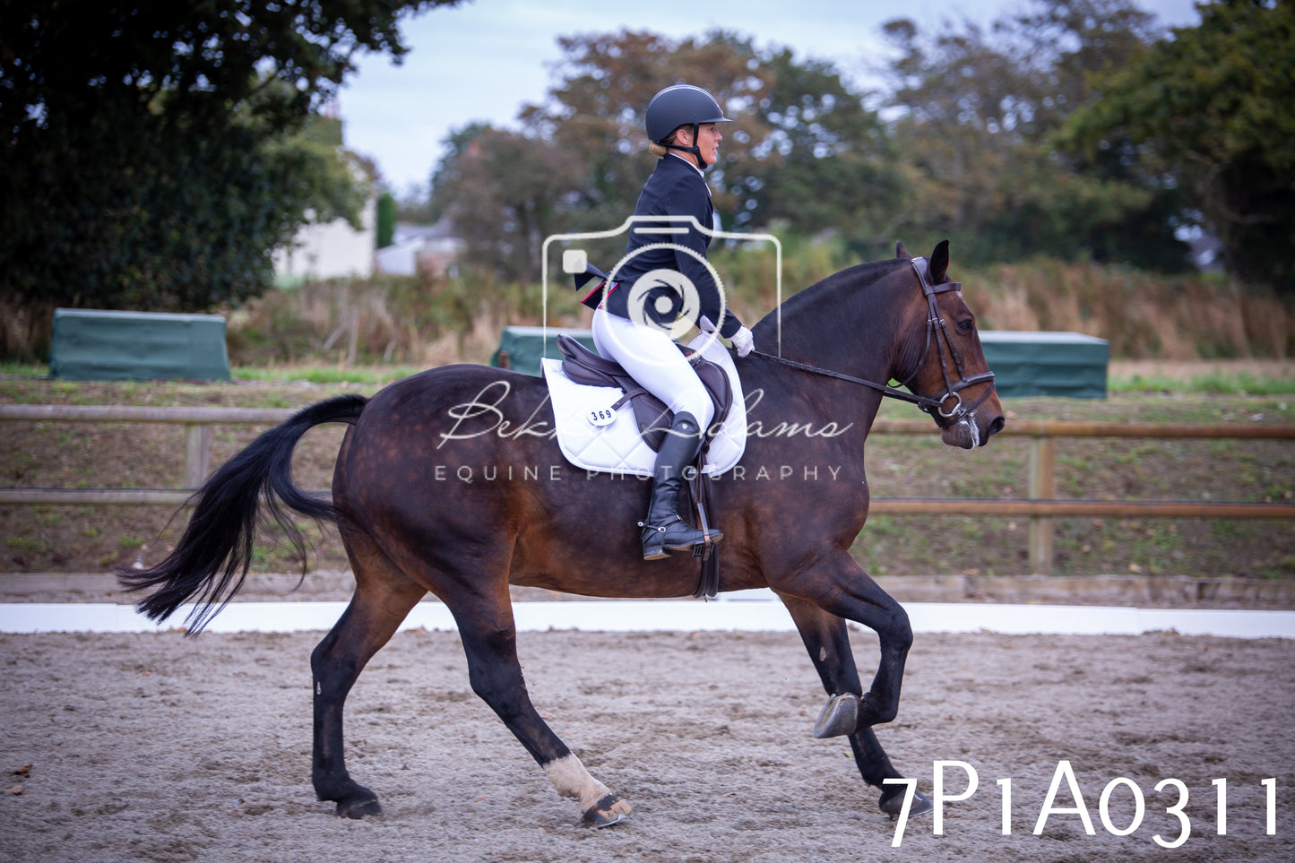JHOYS 2025 - Dressage - 13th September