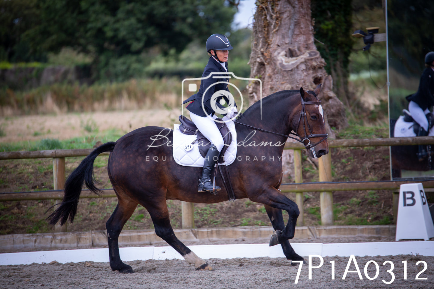 JHOYS 2025 - Dressage - 13th September