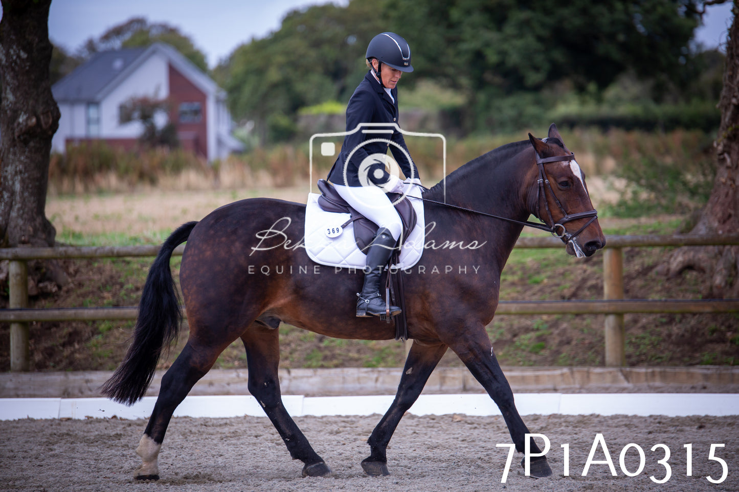 JHOYS 2025 - Dressage - 13th September