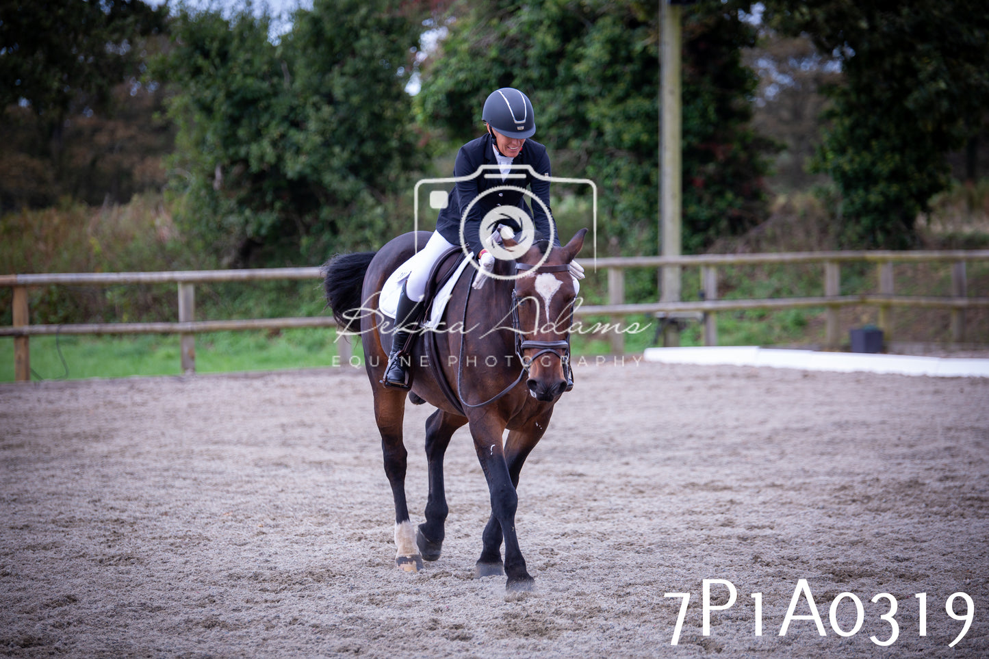 JHOYS 2025 - Dressage - 13th September