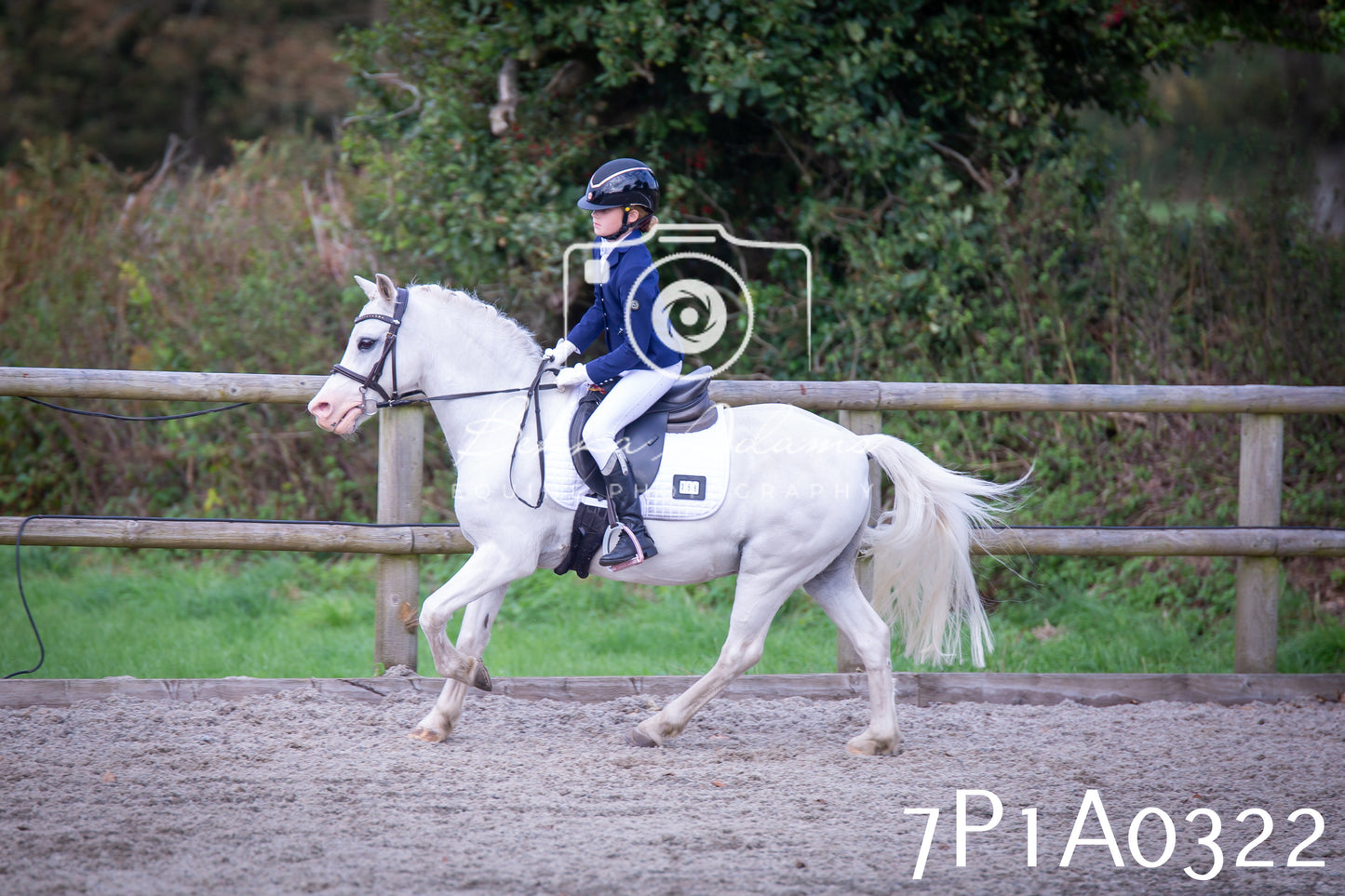 JHOYS 2025 - Dressage - 13th September