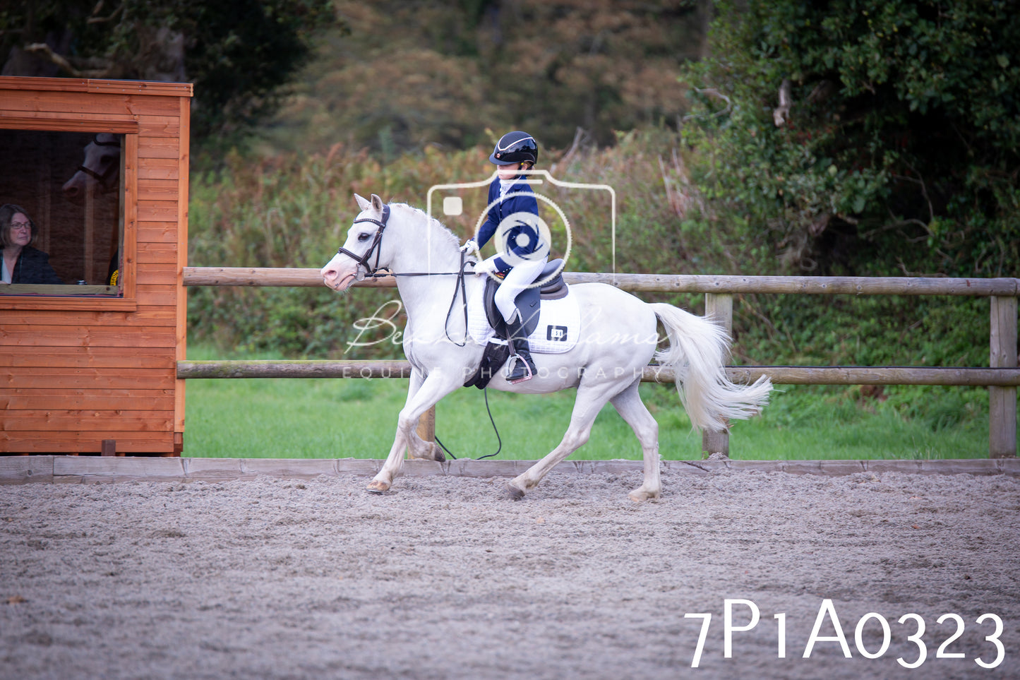 JHOYS 2025 - Dressage - 13th September