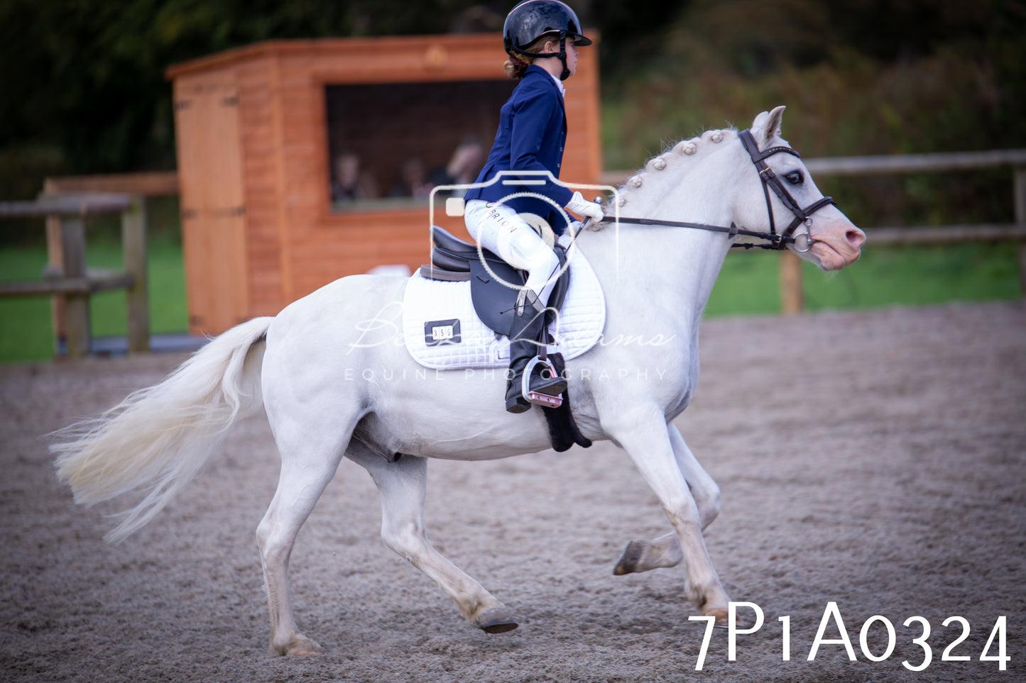 JHOYS 2025 - Dressage - 13th September