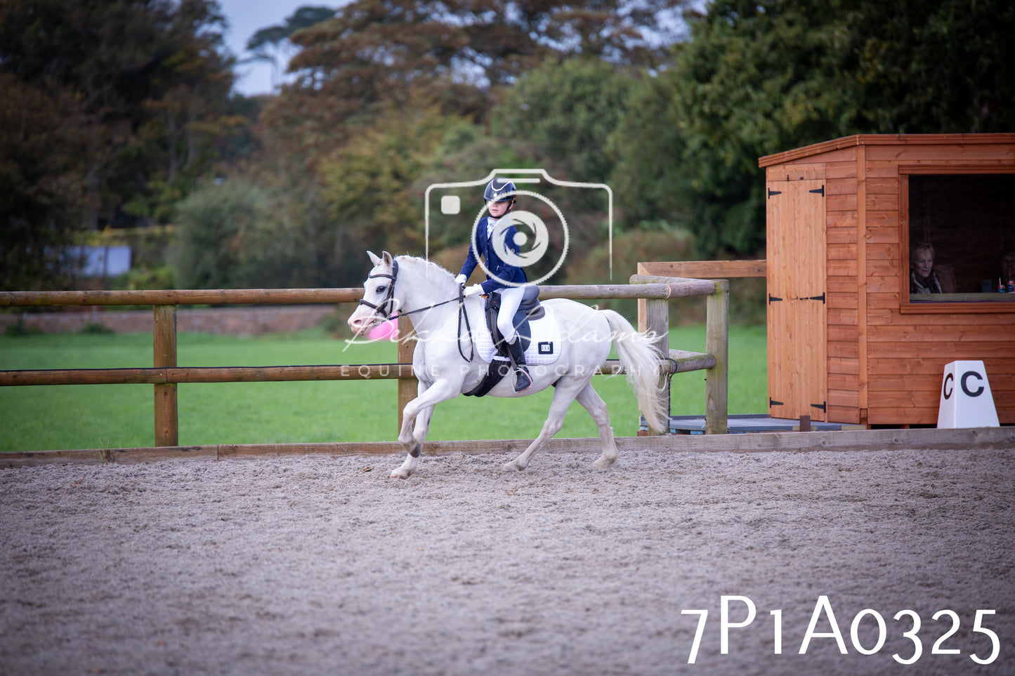JHOYS 2025 - Dressage - 13th September
